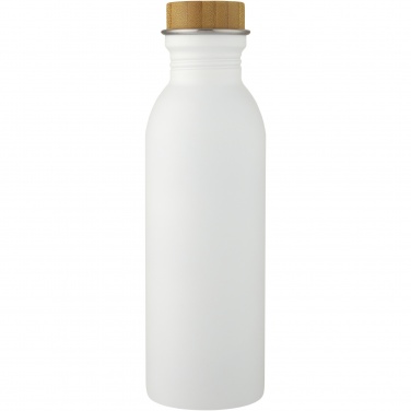 Logotrade promotional product image of: Kalix 650 ml stainless steel water bottle