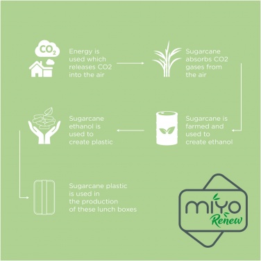 Logo trade promotional giveaway photo of: MIYO Renew single layer lunch box