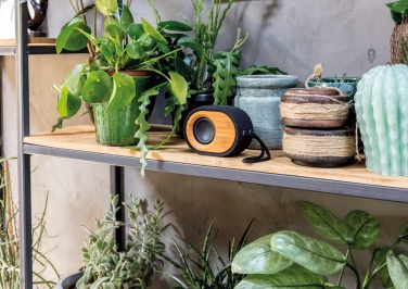 Logotrade promotional giveaways photo of: Bamboo X  speaker