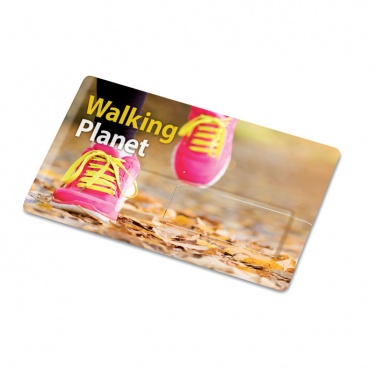 Logotrade promotional merchandise picture of: Creditcard. USB flash 16GB