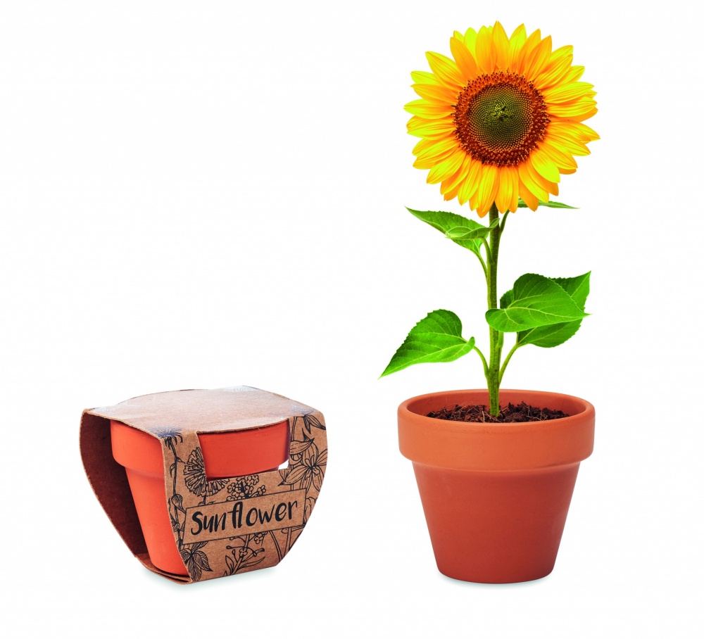 Logo trade promotional merchandise image of: Terracotta pot 'sunflower'