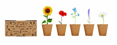 Logotrade corporate gift picture of: Flowers growing kit
