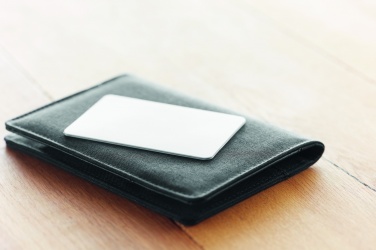 Logotrade promotional merchandise picture of: RFID blocking card