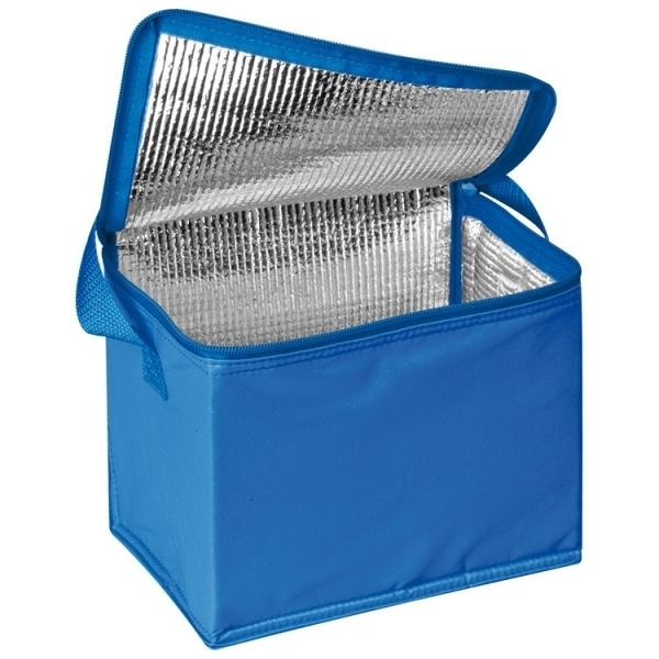 Logotrade promotional merchandise photo of: Cool bag 6 x 0,5 l MESA