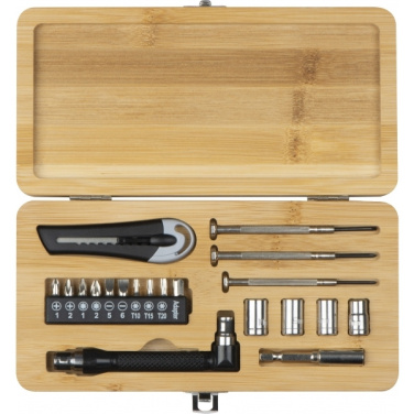 Logotrade promotional product image of: 22-piece tool set BERINGEN