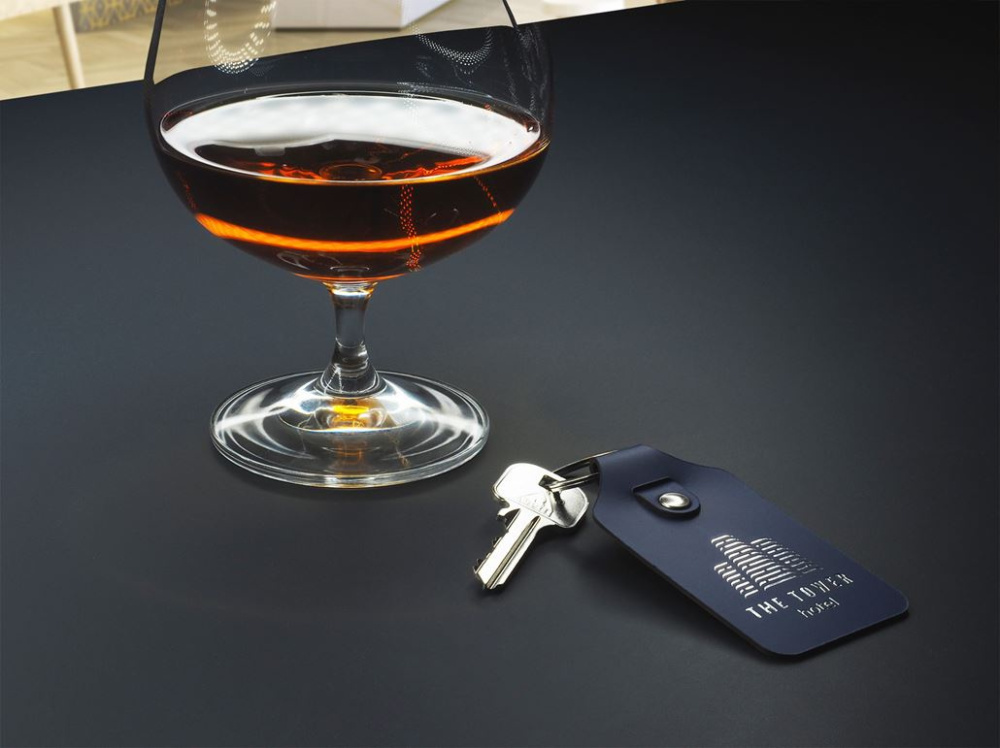 Logo trade promotional giveaways image of: Keyring 1200094