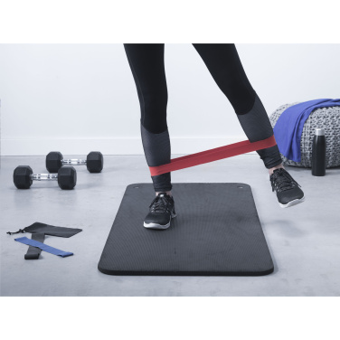Logotrade promotional gift image of: Banda Fitness Bands