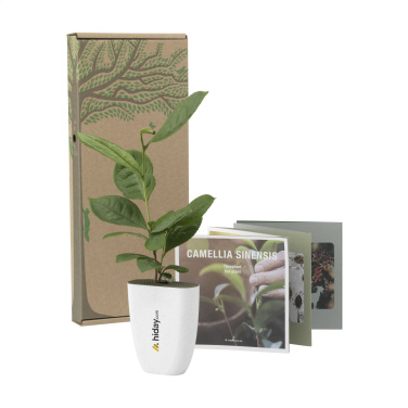 Logo trade promotional merchandise image of: Treemore Letterbox Trees Tea plant