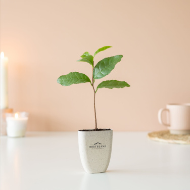 Logotrade business gift image of: Treemore Letterbox Trees Tea plant