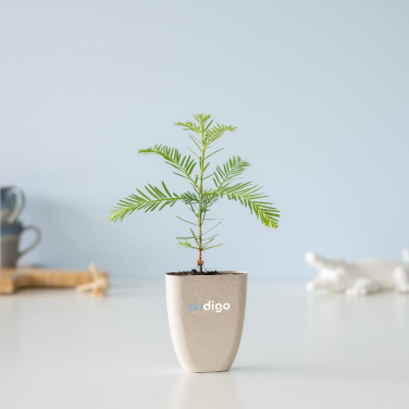 Logo trade promotional products picture of: Treemore Letterbox Trees Giant Sequoia