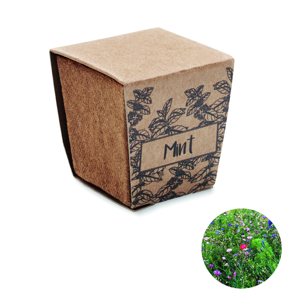 Logotrade business gift image of: Mint seeds growing kit