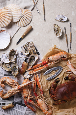 Logo trade promotional merchandise picture of: VINGA Story of seafood