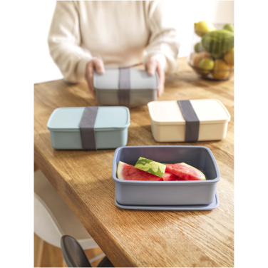 Logotrade business gifts photo of: Dovi 800 ml lunch box