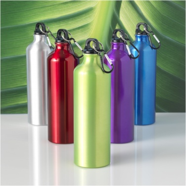Logotrade meene foto: Oregon 770 ml alumiiniumist veepudel karabiiniga