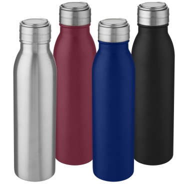 Logo trade ärikingituse pilt: Harper 700 ml roostevabast terasest veepudel metallist aasaga