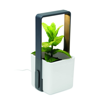 Лого трейд pекламные cувениры фото: Indoor garden with LED light