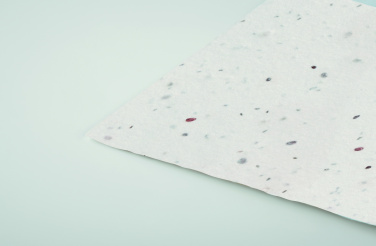 Логотрейд pекламные cувениры картинка: Wildflower seed business card.