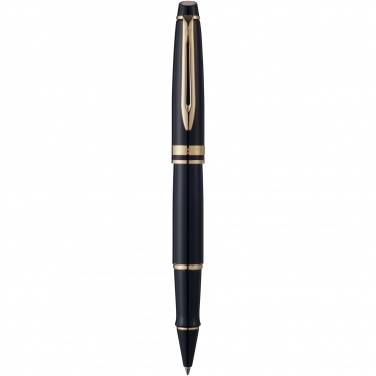 Logotrade profilprodukter bild: Waterman Expert kulpenna