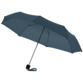 Ida 21,5